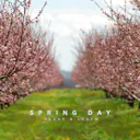 "Spring Day" by our acoustic band is a heartfelt journey through sentimental melodies, capturing the essence of renewal and hope. Immerse yourself in the tender embrace of this evocative track, reminiscent of a blooming spring day.