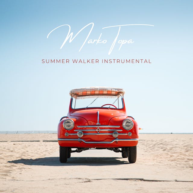 Immerse yourself in the carefree joy of 'Summer Walker Instrumental,' an acoustic band track that radiates positivity and warmth.