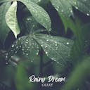 Experience 'Rainy Dream,' an acoustic track that brings peaceful, relaxing love to life, perfect for serene and reflective moments.