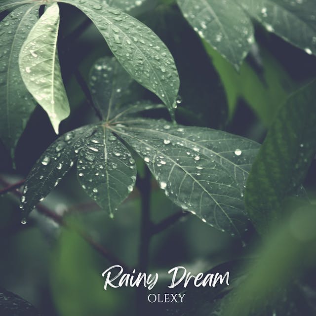 Спробуйте "Rainy Dream", акустичну композицію, яка привносить у життя спокійну, розслаблюючу любов, ідеальну для тихих і роздумливих моментів.