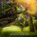 Embark on a mesmerizing journey through the 'Magic Forest' with this epic cinematic orchestral masterpiece. Let its enchanting melodies and majestic arrangement transport you to a realm of wonder and mystique. Stream now for a symphonic adventure through an enchanted woodland!