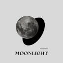 Moonlight - Dive into a serene escape with this lofi electronic track. Featuring meditative and peaceful vibes, it blends soothing chill elements with a touch of melancholy. Ideal for relaxing or introspective moments, this track's gentle rhythms and ambient tones create a calming atmosphere under the moonlight. Perfect for winding down or enhancing your focus.