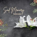 Прийміть меланхолію з "Sad Memory", сольною фортепіанною п'єсою, яка викликає щирий сум і ніжні спогади.