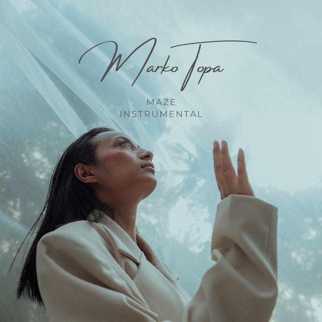 Maze Instrumental: A serene acoustic journey by a peaceful nostalgia-infused band.
