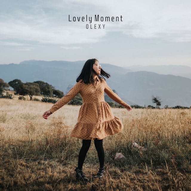 Vivi il fascino sentimentale di "Lovely Moment", un brano di chitarra acustica da sogno.