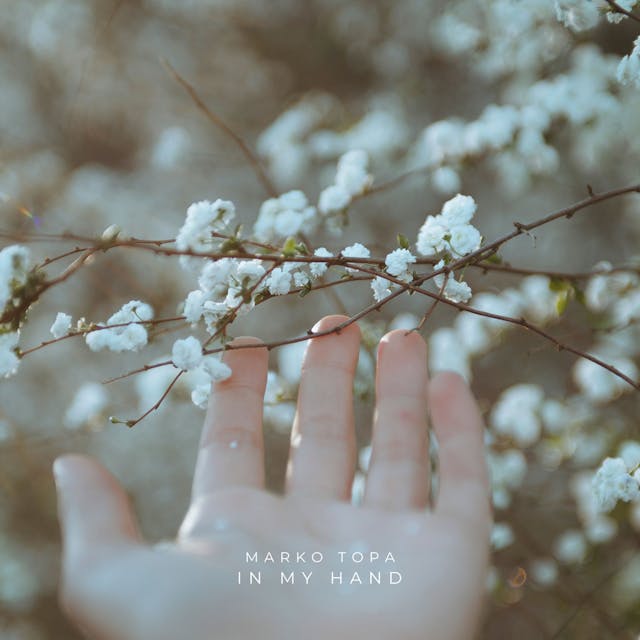 Experimenta el encanto conmovedor de 'In My Hand', un tema acústico de una banda que irradia positividad y alegría.