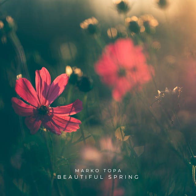 Ervaar de serene schoonheid van 'Beautiful Spring', een nummer van een akoestische band dat vrede en rust uitstraalt.