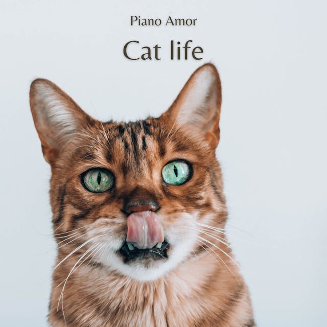 Відчуйте насолоду від "Cat Life", чудової фортепіанної композиції, ідеальної для піднесених комедійних фільмів і позитивних оповідань.