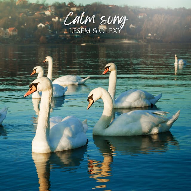 Immerse yourself in 'Calm Song,' an acoustic track that exudes peaceful, relaxing vibes and captures the essence of love, perfect for serene and tranquil moments.