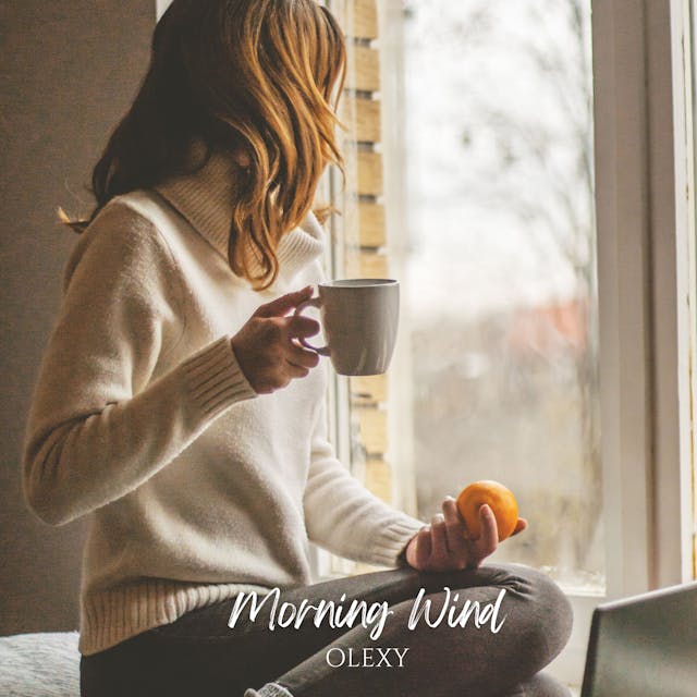 "Morning Wind" est un morceau folk acoustique qui offre une ambiance relaxante et pleine d'espoir, mêlant des mélodies joyeuses à un sentiment de sérénité et de joie.