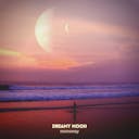 "Dreamy Moon" transports you to a serene realm with its ambient atmospheric soundscape. Surrender to its tranquil allure.