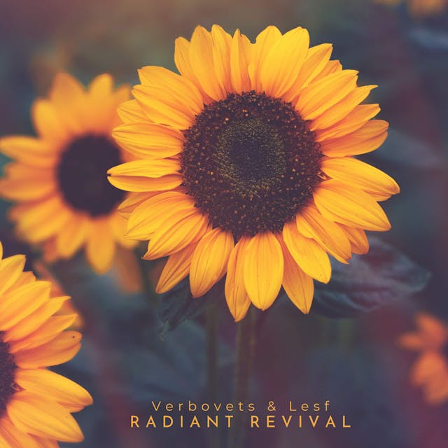 Découvrez l'esprit exaltant de « Radiant Revival », une composition pour piano solo rayonnant de sentiments sincères et de profondeur émotionnelle.