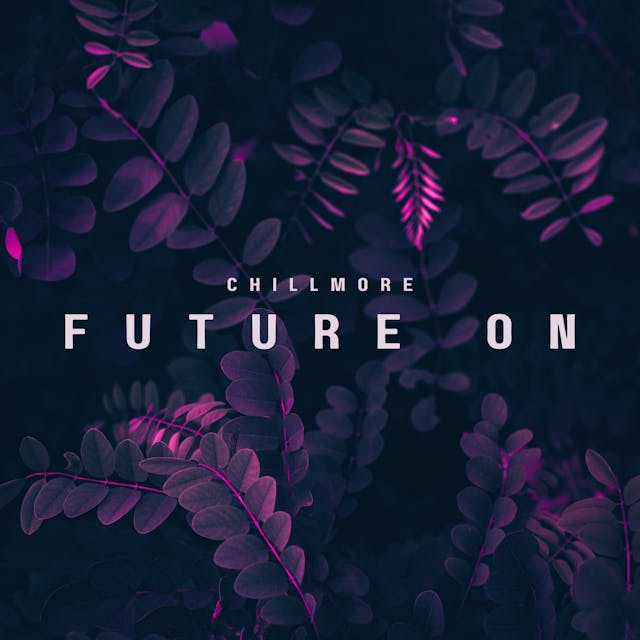 Enjoy a serene journey with our 'Future On' chill lo-fi track.