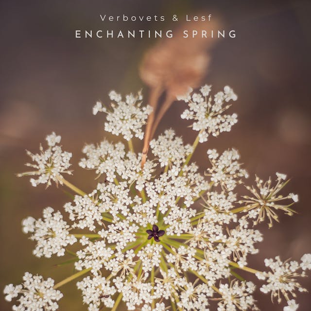 Embrace the magic of 'Enchanting Spring,' a solo piano masterpiece that captures the essence of the season with its tender and sentimental melodies.