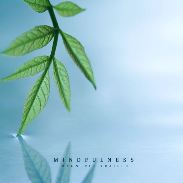 평화로운 요소와 서사적인 요소가 혼합된 시네마틱 트랙 'Mindfulness'의 고요한 장엄함을 경험해 보세요.