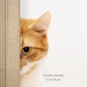 Get ready to smile with 'Cat Play,' a playful piano piece perfect for uplifting film scenes and comedy projects. Its lively and positive melody will charm audiences and add a touch of joy to your production. Stream now for a purr-fectly delightful experience!