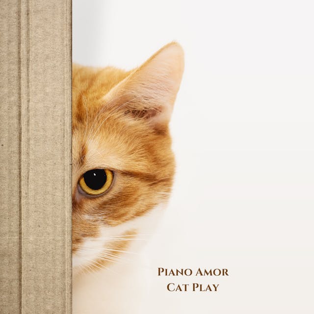 Get ready to smile with 'Cat Play,' a playful piano piece perfect for uplifting film scenes and comedy projects.