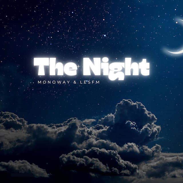 Immerse yourself in 'The Night,' an ambient electronic meditation track designed to soothe the soul and calm the mind.