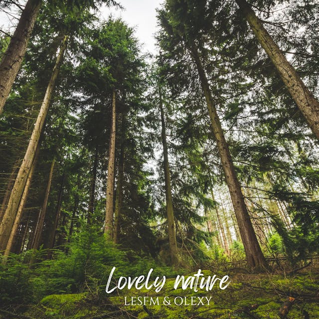 Omarm de schoonheid van 'Lovely Nature', een akoestisch gitaarnummer vol serene en opbeurende melodieën.