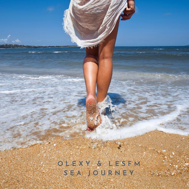 Embark on a tranquil voyage with the serene melodies of "Sea Journey.