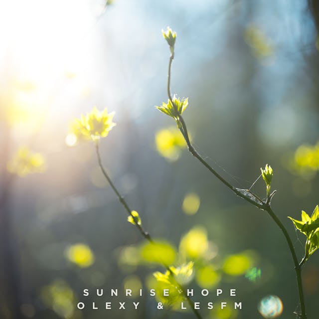 Duik in de opzwepende ambiance van 'Sunrise Hope' – een betoverende akoestische bandcompositie die warmte en nostalgie belichaamt.
