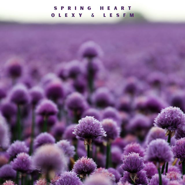 Tunne "Spring Heart" -akustisen bändimelodian herkät rytmit, joka on täynnä tunnetta ja lämpöä.