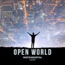 Immerse yourself in the boundless energy of 'Open World Instrumental,' an electro guitar track that exudes positivity and adventure. Let its dynamic riffs and uplifting rhythms inspire a sense of freedom and exploration. Stream now for an invigorating and exciting musical journey.