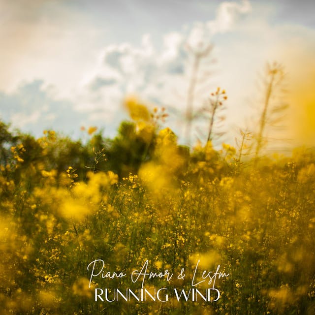 "Running Wind" delivers poignant sadness through delicate piano notes, evoking a sense of introspection and longing.