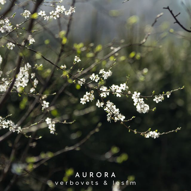 Oplev den fortryllende skønhed ved 'Aurora', et solo-klaverstykke, der udstråler dyb stemning og sindsro.