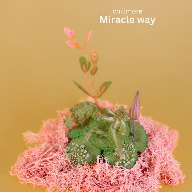 Koe "Miracle Wayn", lumoava elektronisen chill lofi -kappaleen seesteinen tunnelma.
