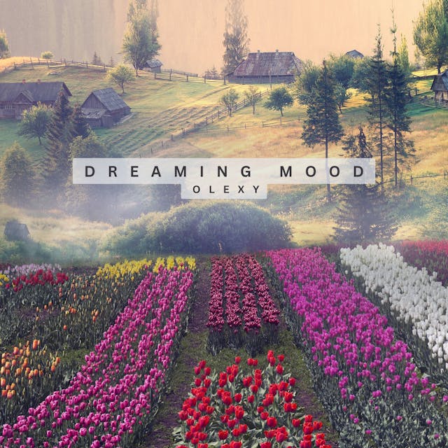 Dopřejte si uklidňující melodie „Dreaming Mood“ – podmanivé skladby akustické kapely, která vás zavede do světa klidného snění.