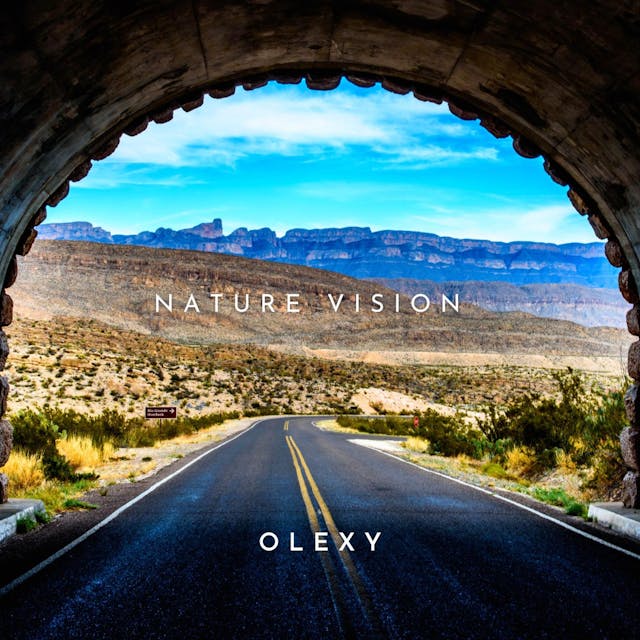 Experience the beauty of nature with "Nature Vision" - an acoustic folk track that captures the essence of sentimental moments.