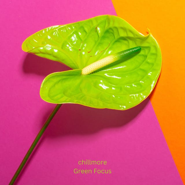 Odpočiňte si s 'Green Focus', poklidnou chill lofi lounge skladbou, která je ideální pro odpočinek a nalezení klidu.