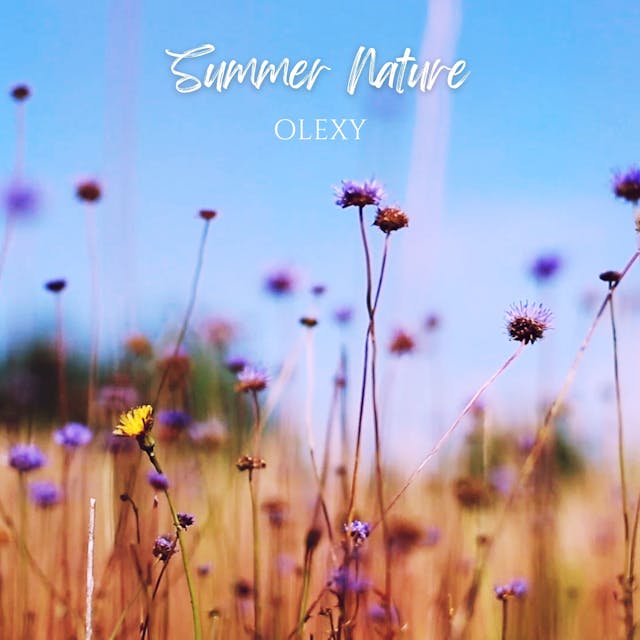 Escape with 'Summer Nature,' a dreamy, acoustic folk track designed to relax and unwind.