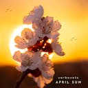 Experience the fresh beauty of 'April Sun,' a solo piano piece that captures the essence of springtime. Let its bright melodies and gentle harmonies transport you to a world of renewal and warmth. Stream now for a soothing and uplifting musical journey.