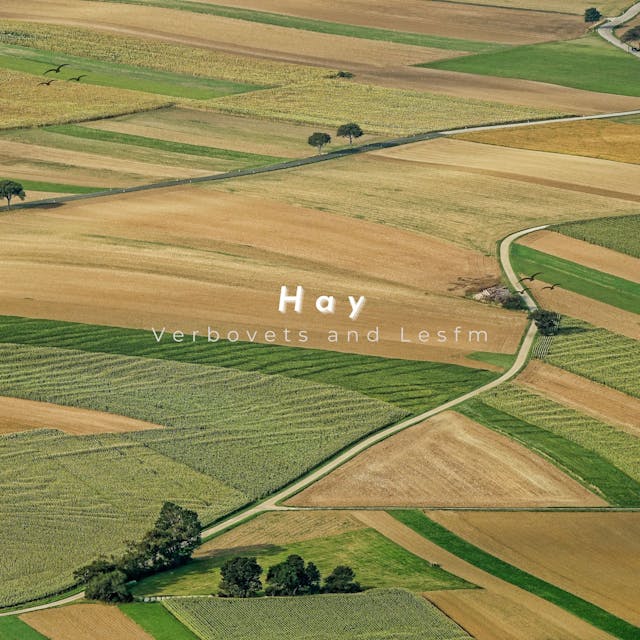 Tapasztalja meg a "Hay" című szólózongora-kompozíció érzelmi mélységeit, amely finoman szövi melankolikus mesét megrendítő dallamaival.