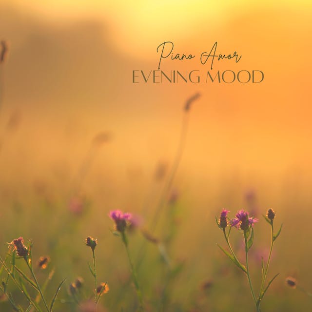 "Evening Mood" is a hauntingly beautiful piano solo that captures the essence of melancholy with its emotive melodies.