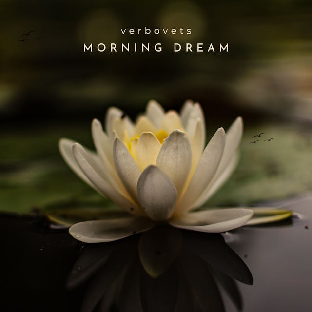 "Morning Dream" is a peaceful solo piano track that evokes nostalgia and calm with its serene and reflective melodies.