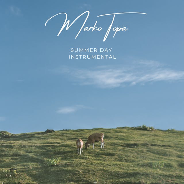 Immerse yourself in the gentle warmth of 'Summer Day Instrumental,' an acoustic band track that exudes peace and tranquility.