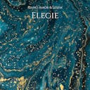 Immerse yourself in the poignant beauty of 'Elegie,' a solo piano piece rich with sentiment and emotion. Let its expressive melodies and delicate harmonies transport you to a world of deep reflection. Stream now for a heartfelt and moving musical experience.