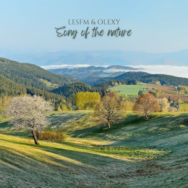 Погрузитесь в спокойствие «Song of the Nature», трека для акустической гитары, передающего суть мира природы.