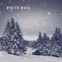 Kom in i feststämningen med "Winter Mood" - en jullåt som fångar kärnan i julfirandet. Låt de glada melodierna och de glada texterna lyfta ditt humör denna vintersäsong