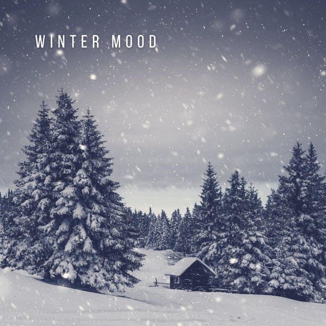 Sumérgete en el espíritu festivo con 'Winter Mood', una canción festiva que captura la esencia de la celebración navideña.