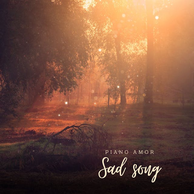 Experience the raw emotion of a melancholic piano solo in "Sad Song.