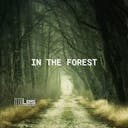 「In The Forest - Slowed And Reverbed」では、アコースティック ギター ソロの穏やかな静けさをお楽しみください。