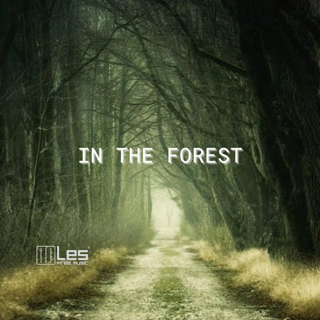 Enjoy the peaceful serenity of an acoustic guitar solo in 'In The Forest - Slowed And Reverbed'.