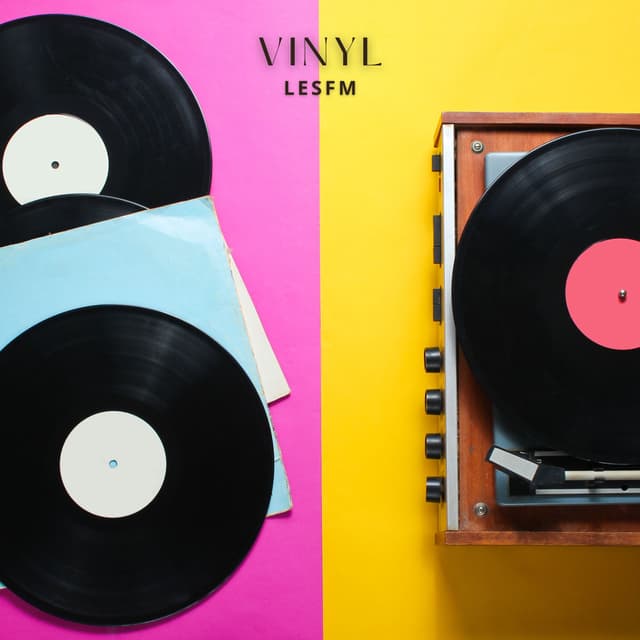 "Vinyl" es una canción vibrante y alegre, perfecta para las celebraciones de verano, que presenta melodías románticas y alegres que evocan felicidad y positividad.