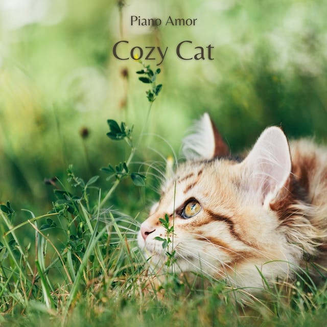 Притуліться під «Cosy Cat», чарівну фортепіанну композицію, яка гарантовано додасть тепла й химерності вашим комедійним фільмам і позитивним оповіданням.