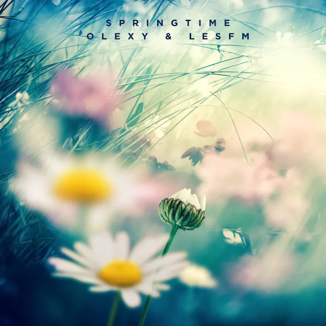 Experience the serene melodies of acoustic guitar in our 'Springtime' track, evoking peace and tranquility.