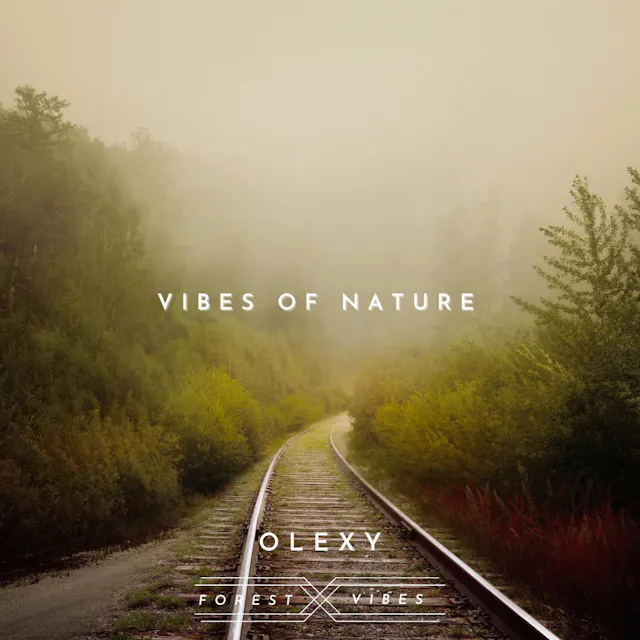 Experience the serene and heartfelt "Vibes of Nature" with this acoustic folk track.